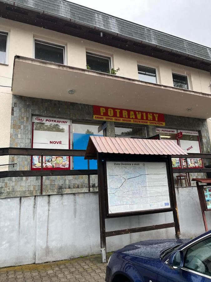 Apartman Na Horach Zlata Olesnice  외부 사진